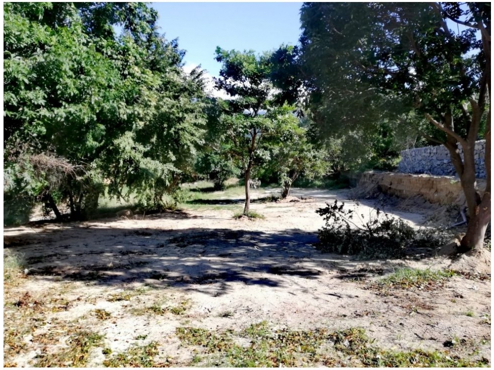 Lote en venta en Bonda, Santa Marta, 709 m² · foto 8 de 16