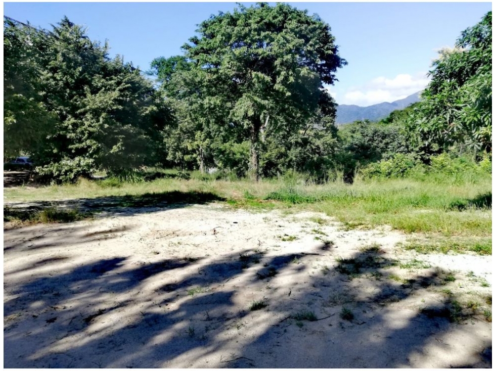 Lote en venta en Bonda, Santa Marta, 709 m² · foto 11 de 16