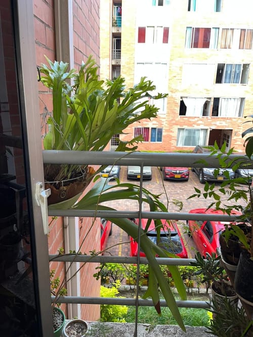 Apartamento de 3 alcobas en venta en Reservas Del Jardin, Ibagué, 54 m² · foto 15 de 21