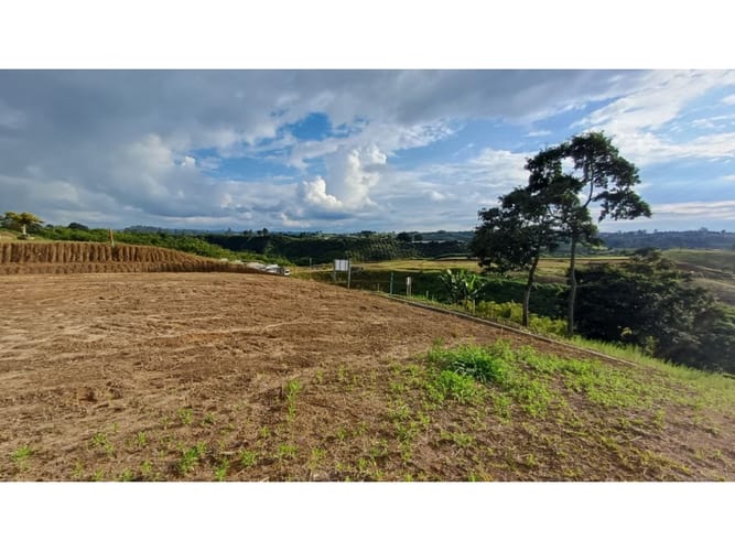 Lote en venta en Condina, Pereira, 1500 m² · foto 3 de 3