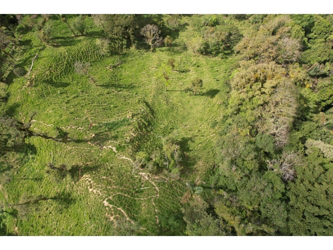 Finca en venta en Corregimiento De Minca, Santa Marta, 20000 m² · foto 2 de 24