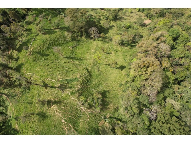 Finca en venta en Corregimiento De Minca, Santa Marta, 20000 m² · foto 3 de 24