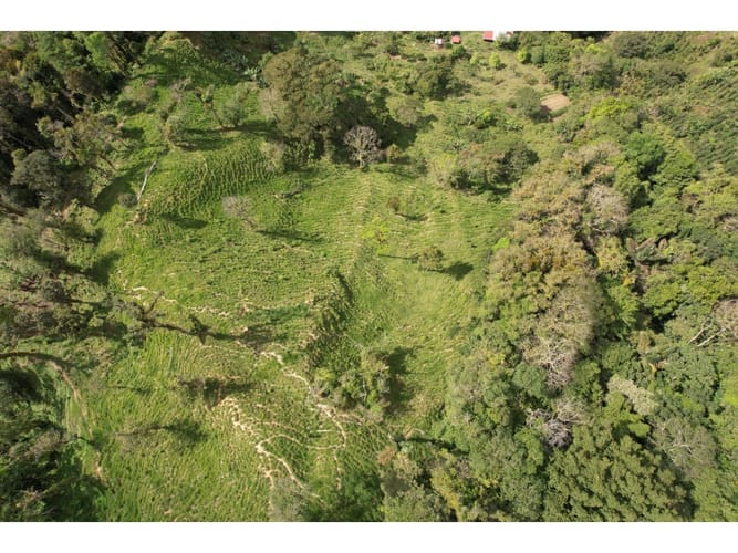 Finca en venta en Corregimiento De Minca, Santa Marta, 20000 m² · foto 4 de 24