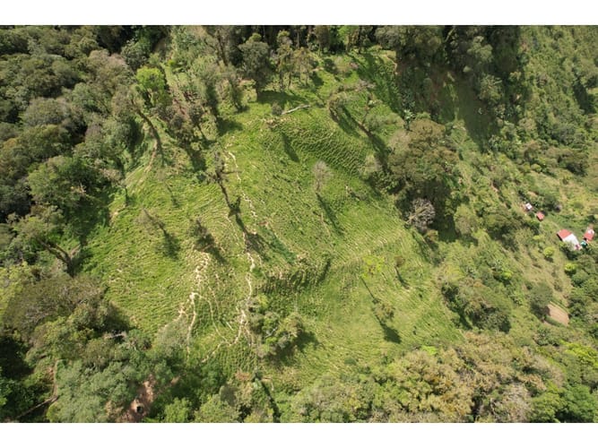 Finca en venta en Corregimiento De Minca, Santa Marta, 20000 m² · foto 5 de 24
