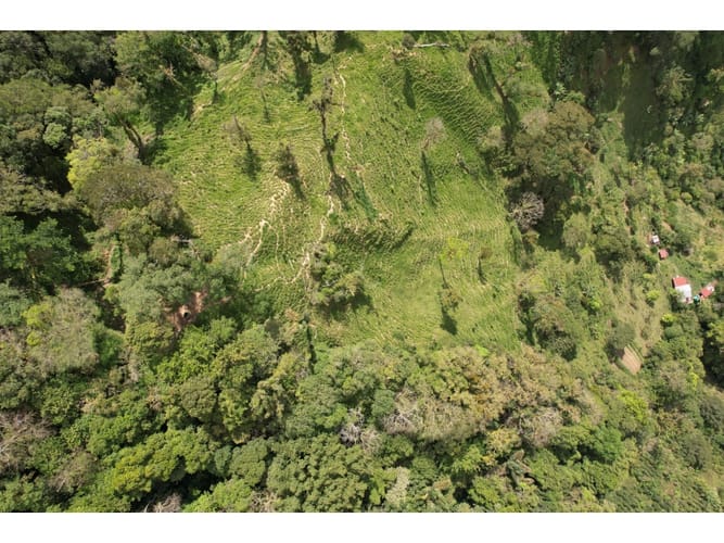 Finca en venta en Corregimiento De Minca, Santa Marta, 20000 m² · foto 6 de 24