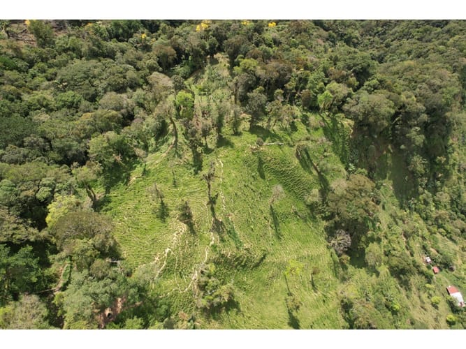 Finca en venta en Corregimiento De Minca, Santa Marta, 20000 m² · foto 7 de 24