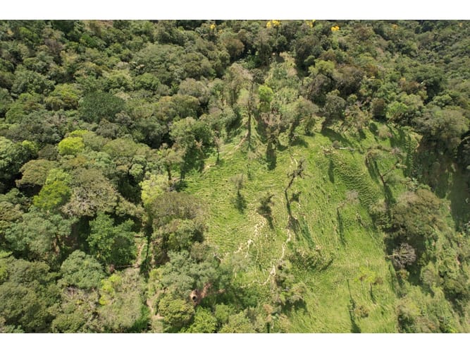Finca en venta en Corregimiento De Minca, Santa Marta, 20000 m² · foto 8 de 24
