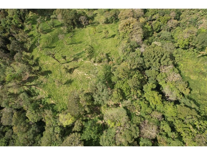 Finca en venta en Corregimiento De Minca, Santa Marta, 20000 m² · foto 9 de 24