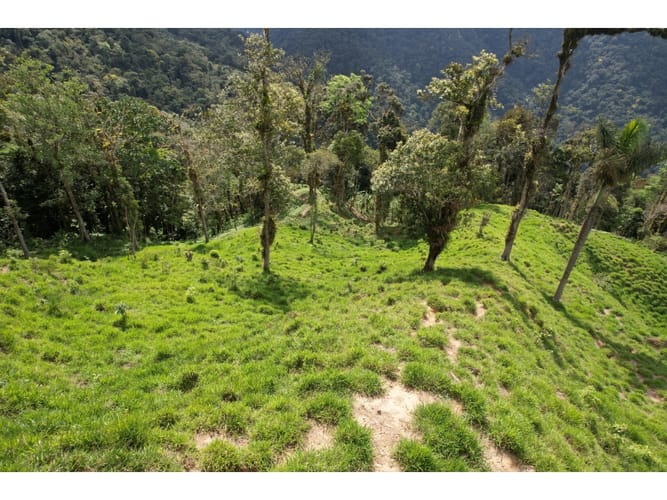 Finca en venta en Corregimiento De Minca, Santa Marta, 20000 m² · foto 10 de 24