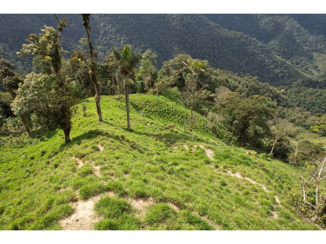 Finca en venta en Corregimiento De Minca, Santa Marta, 20000 m² · foto 11 de 24