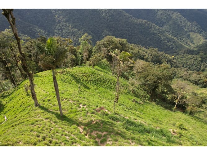 Finca en venta en Corregimiento De Minca, Santa Marta, 20000 m² · foto 12 de 24