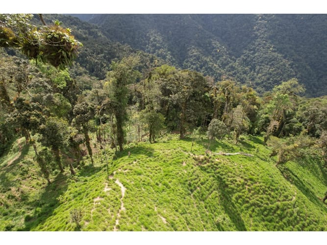 Finca en venta en Corregimiento De Minca, Santa Marta, 20000 m² · foto 13 de 24