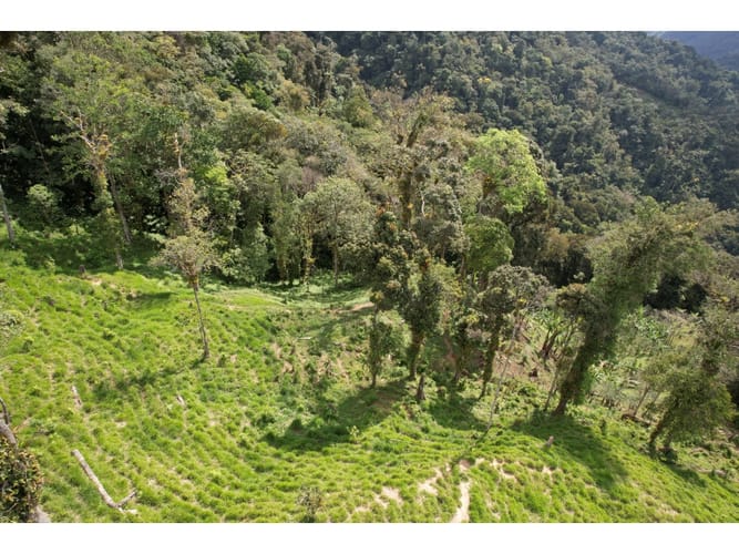 Finca en venta en Corregimiento De Minca, Santa Marta, 20000 m² · foto 14 de 24