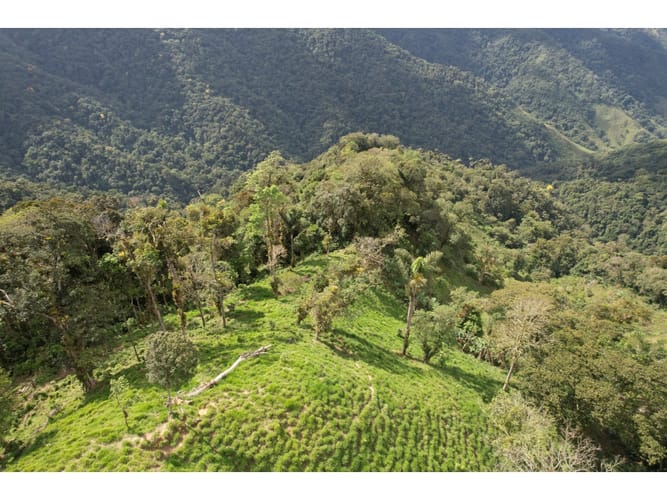 Finca en venta en Corregimiento De Minca, Santa Marta, 20000 m² · foto 15 de 24