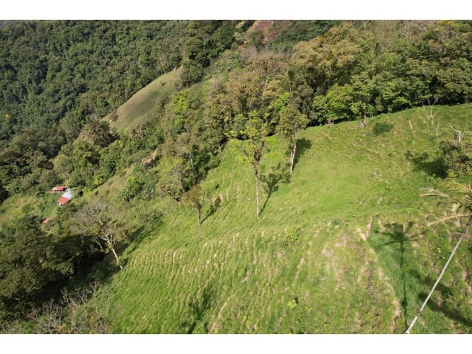 Finca en venta en Corregimiento De Minca, Santa Marta, 20000 m² · foto 16 de 24