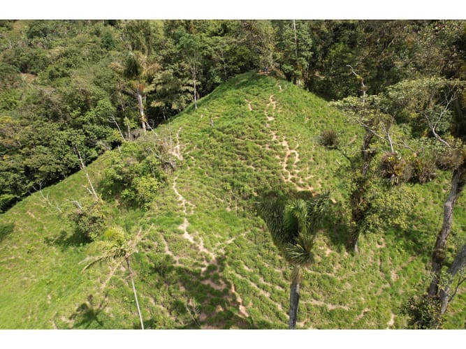 Finca en venta en Corregimiento De Minca, Santa Marta, 20000 m² · foto 17 de 24