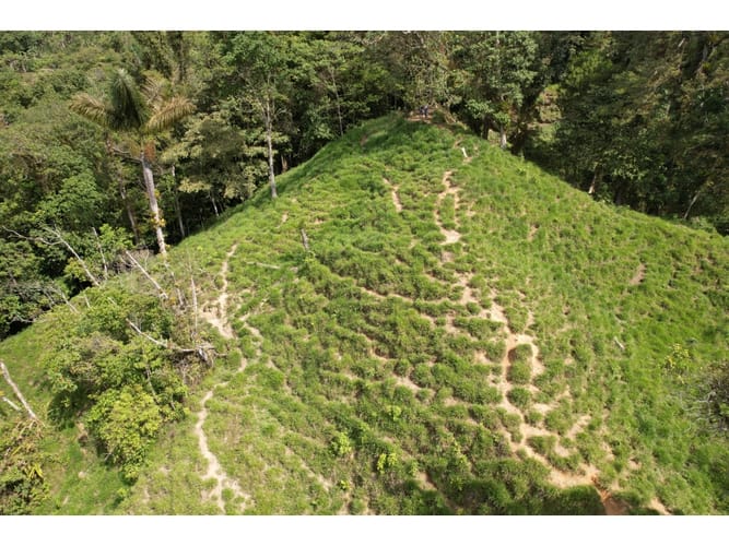 Finca en venta en Corregimiento De Minca, Santa Marta, 20000 m² · foto 18 de 24