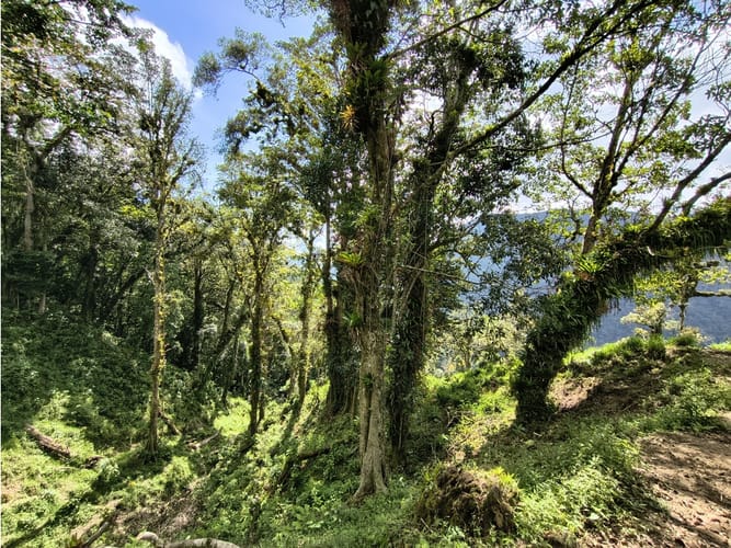 Finca en venta en Corregimiento De Minca, Santa Marta, 20000 m² · foto 22 de 24