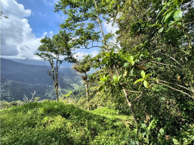 Finca en venta en Corregimiento De Minca, Santa Marta, 20000 m² · foto 23 de 24