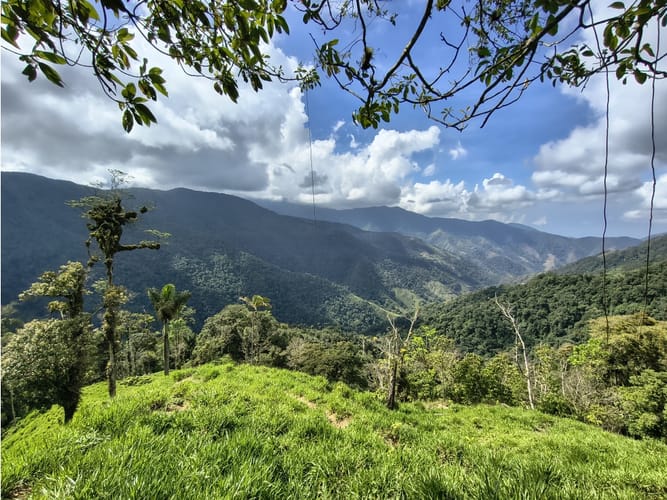Finca en venta en Corregimiento De Minca, Santa Marta, 20000 m² · foto 24 de 24