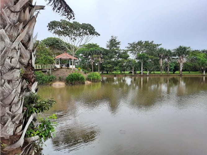 Lote en venta en Alto De Pompeya, Villavicencio · foto 4 de 15