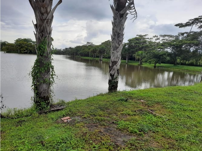 Lote en venta en Alto De Pompeya, Villavicencio · foto 9 de 15