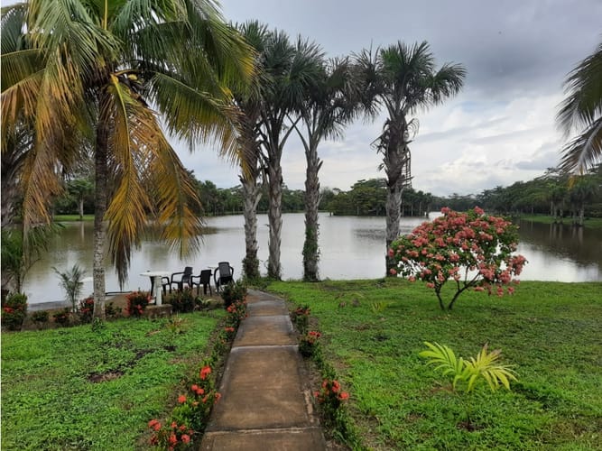 Lote en venta en Alto De Pompeya, Villavicencio · foto 10 de 15