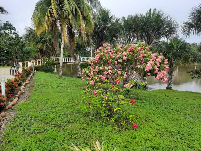 Lote en venta en Alto De Pompeya, Villavicencio · foto 11 de 15