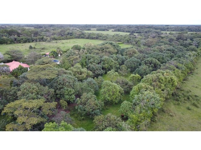 Lote en venta en Alto De Pompeya, Villavicencio · foto 13 de 15