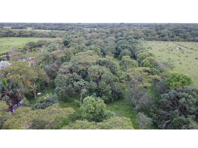 Lote en venta en Alto De Pompeya, Villavicencio · foto 14 de 15