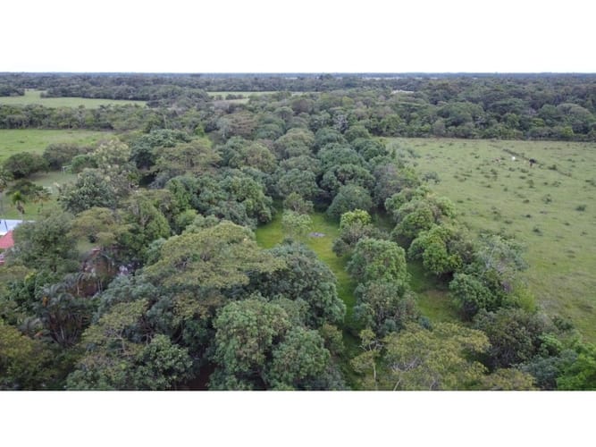 Lote en venta en Alto De Pompeya, Villavicencio · foto 15 de 15
