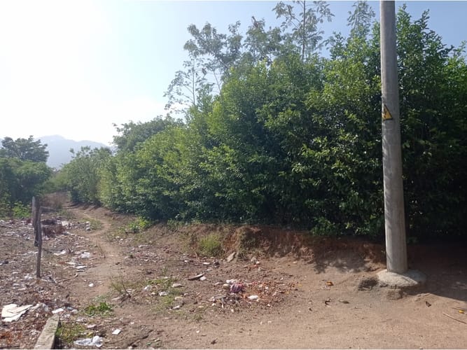 Lote en venta en Vista Hermosa Sur, Santa Marta, 1397 m² · foto 5 de 17