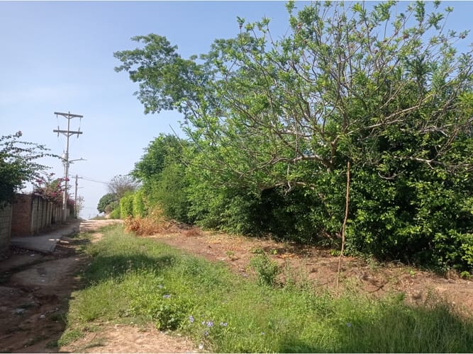 Lote en venta en Vista Hermosa Sur, Santa Marta, 1397 m² · foto 7 de 17