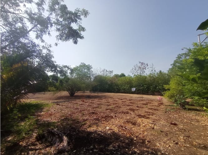 Lote en venta en Vista Hermosa Sur, Santa Marta, 1397 m² · foto 10 de 17