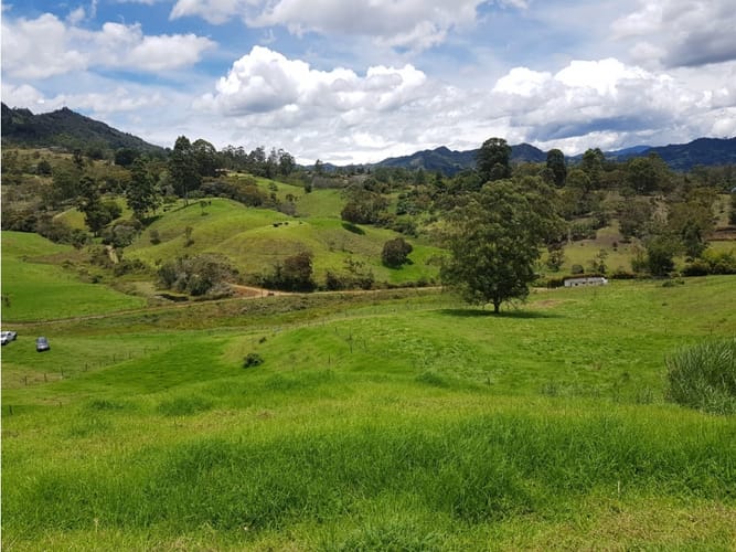 Lote en venta en Llano Grande, Rionegro, 27530 m² · foto 3 de 16
