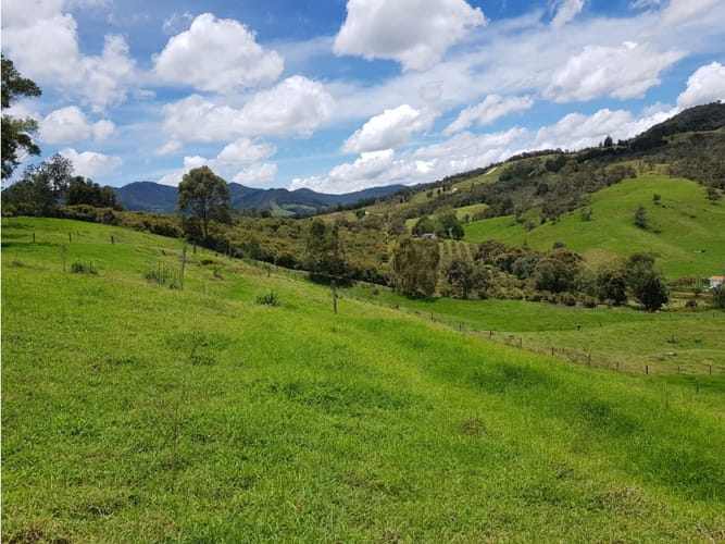 Lote en venta en Llano Grande, Rionegro, 27530 m² · foto 4 de 16