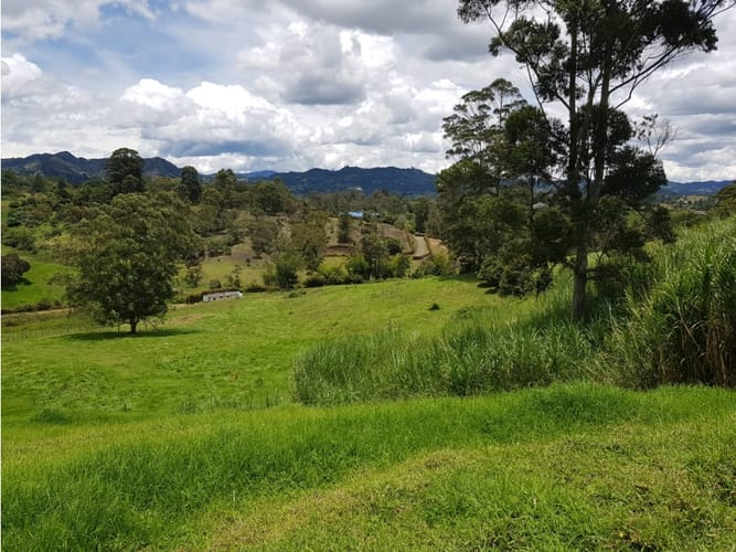 Lote en venta en Llano Grande, Rionegro, 27530 m² · foto 7 de 16