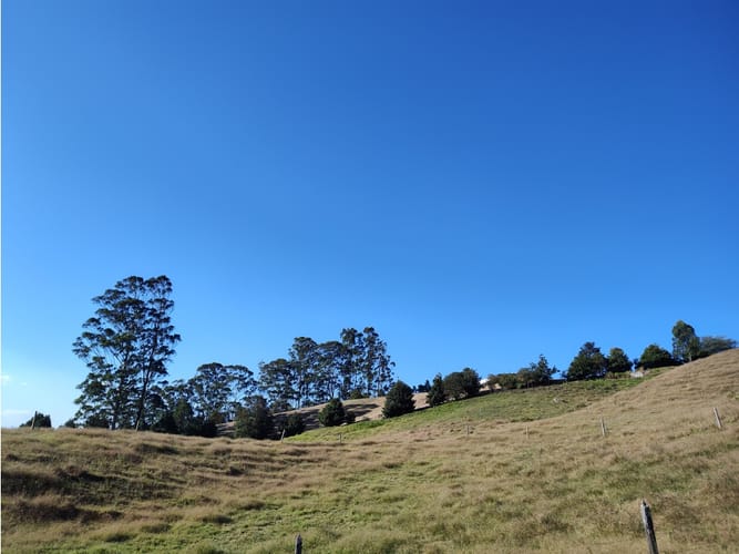 Lote en venta en Llano Grande, Rionegro, 27530 m² · foto 9 de 16