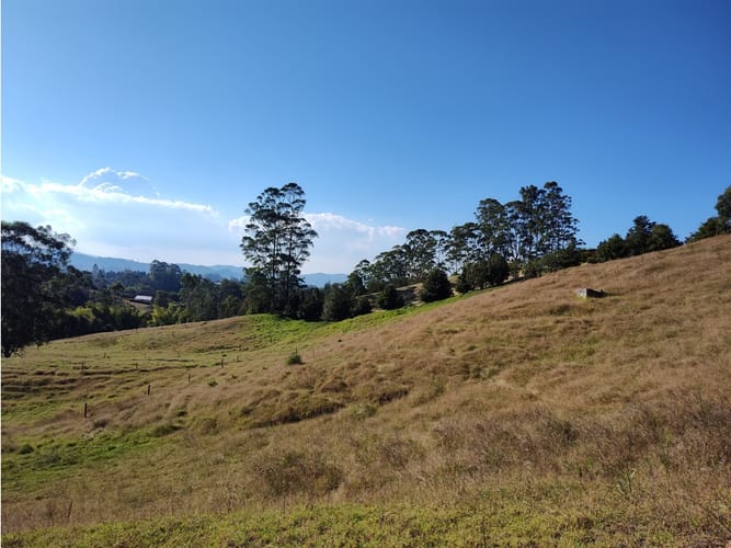 Lote en venta en Llano Grande, Rionegro, 27530 m² · foto 11 de 16