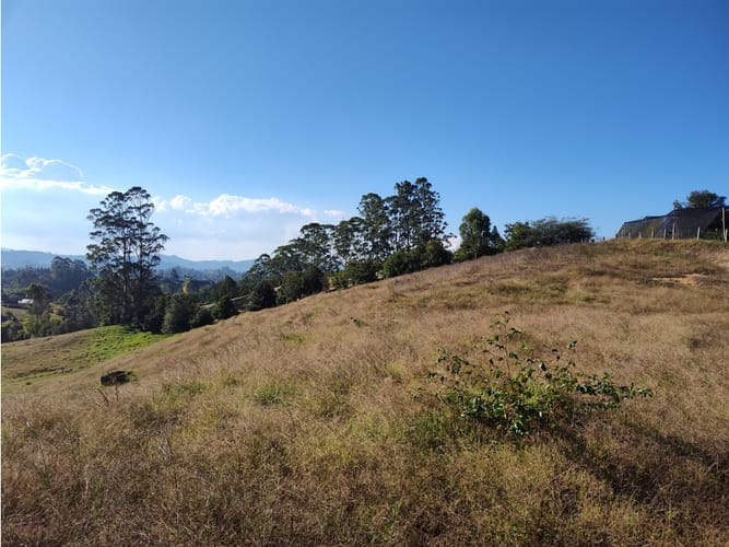 Lote en venta en Llano Grande, Rionegro, 27530 m² · foto 12 de 16
