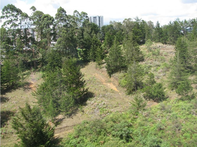 Apartamento de 2 alcobas en venta en La Laja, Rionegro, 77 m² · foto 14 de 14