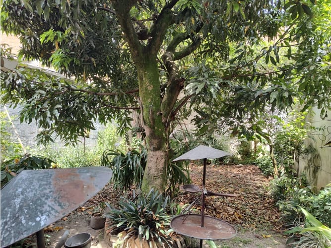 Casa de 3 alcobas en venta en Las Acacias, Medellín, 269 m² · foto 15 de 15