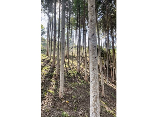 Finca en venta en Nazareth, El Retiro, 210 m² · foto 23 de 24