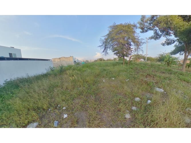 Lote en venta en Rosendo Garces, Montería, 322 m² · foto 4 de 4