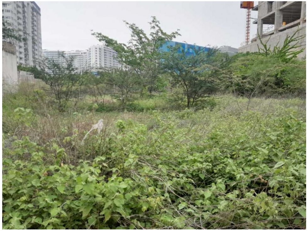 Lote en venta en Salguero, Santa Marta, 2500 m² · foto 6 de 8