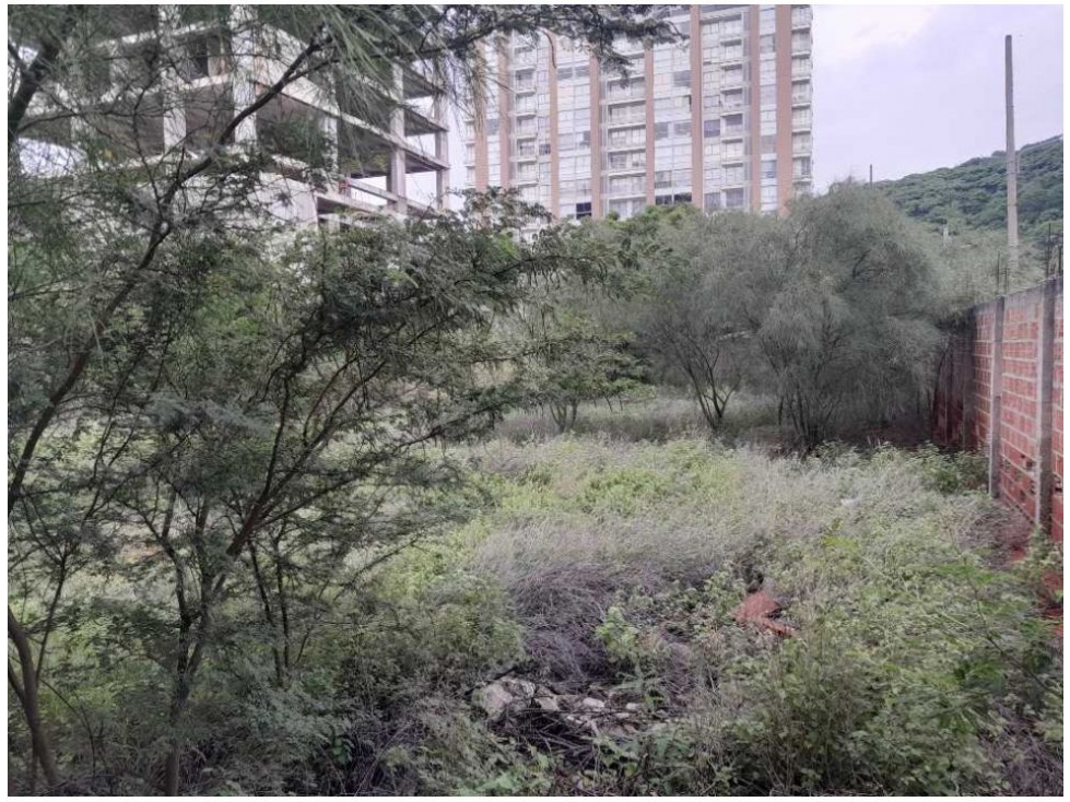 Lote en venta en Salguero, Santa Marta, 2500 m² · foto 7 de 8