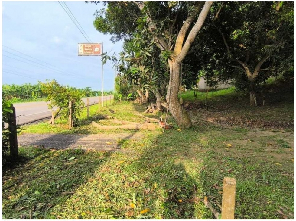 Lote en venta en Calabazo, Santa Marta, 80 m² · foto 2 de 15