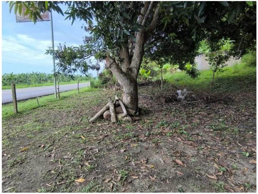 Lote en venta en Calabazo, Santa Marta, 80 m² · foto 3 de 15