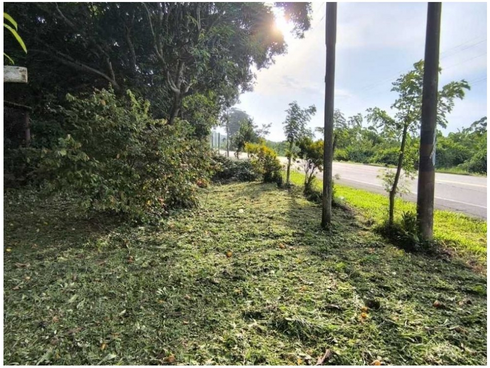 Lote en venta en Calabazo, Santa Marta, 80 m² · foto 4 de 15