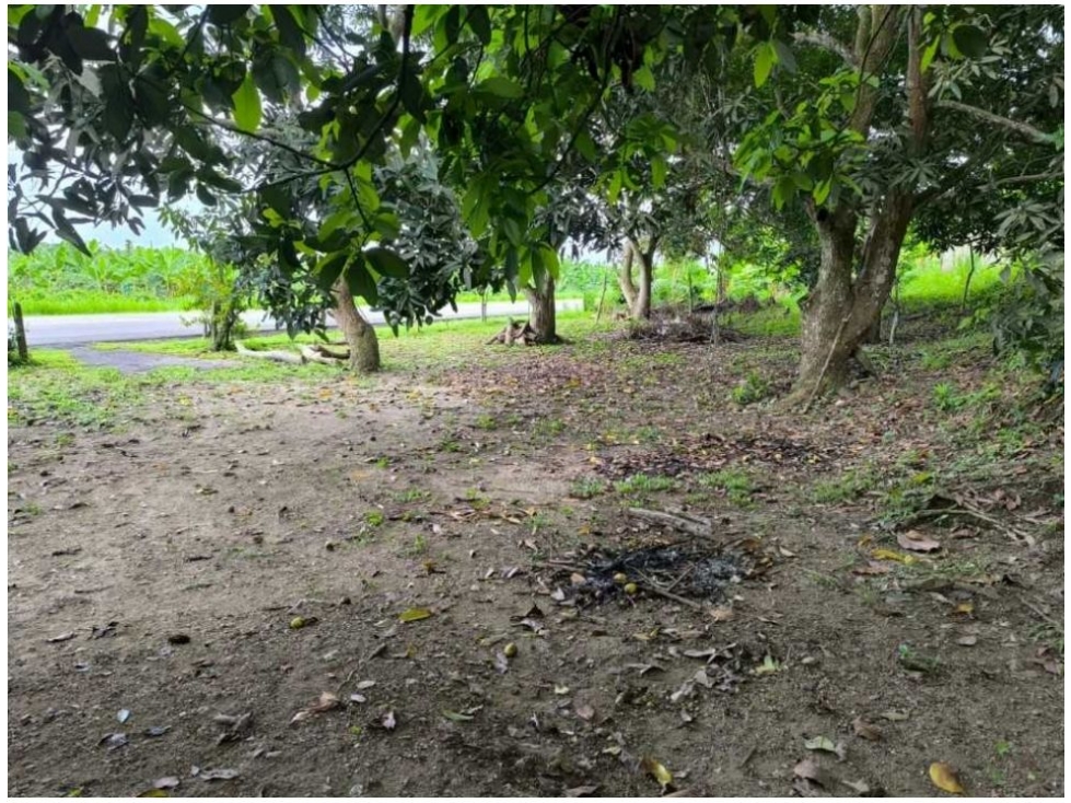Lote en venta en Calabazo, Santa Marta, 80 m² · foto 7 de 15
